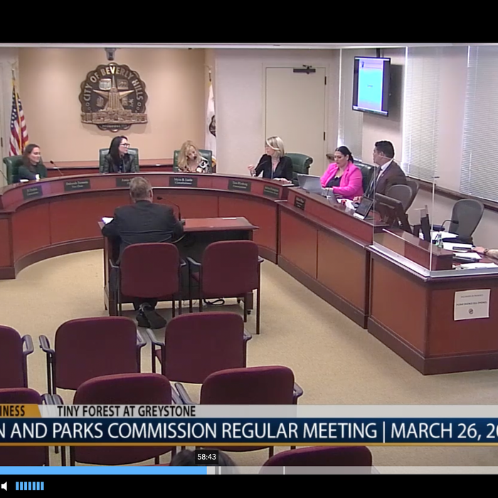 Recreation + Parks Commission meeting
