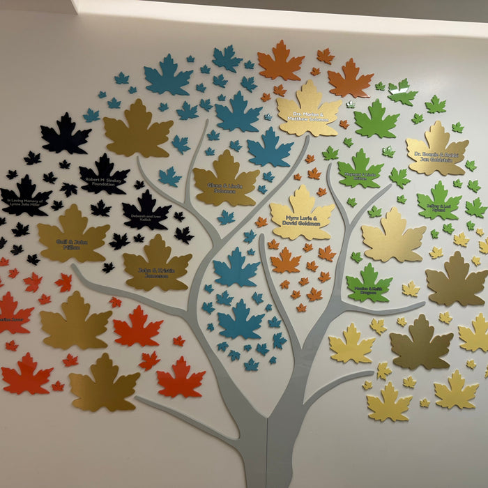 wall of multi colored maple leaves