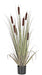Faux Cattail Grass W/Pot- ST