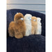 Natural Alpaca 8" Toy