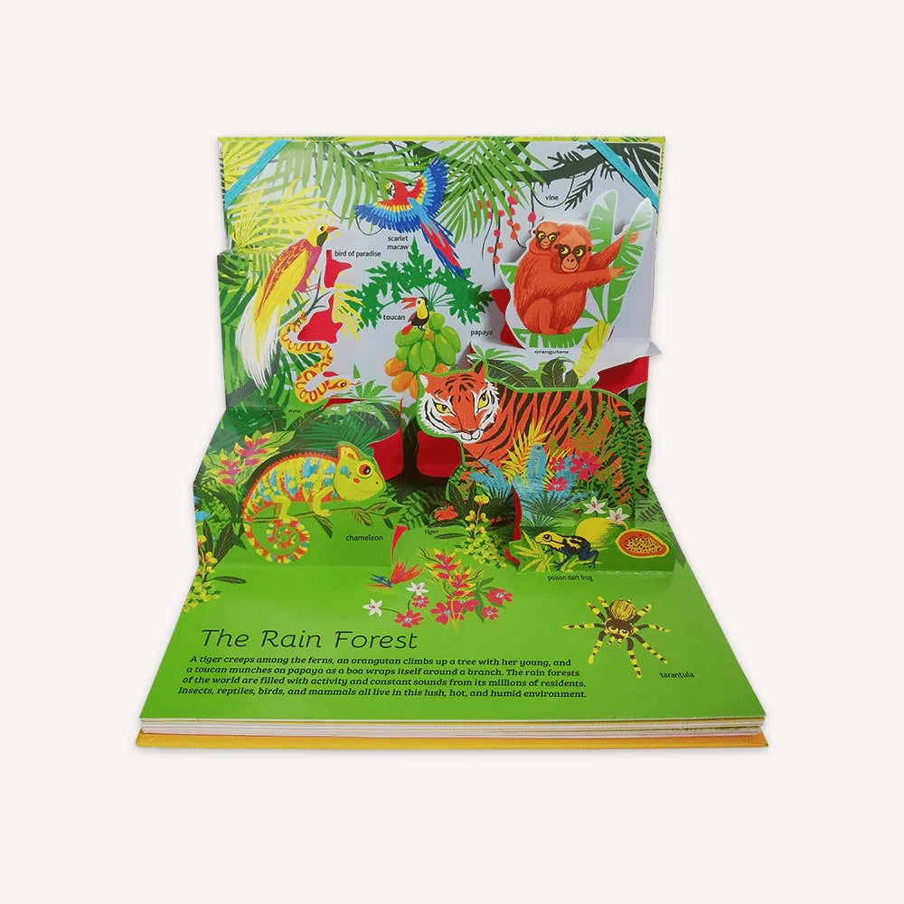 The Pop-Up Guide Animals Book