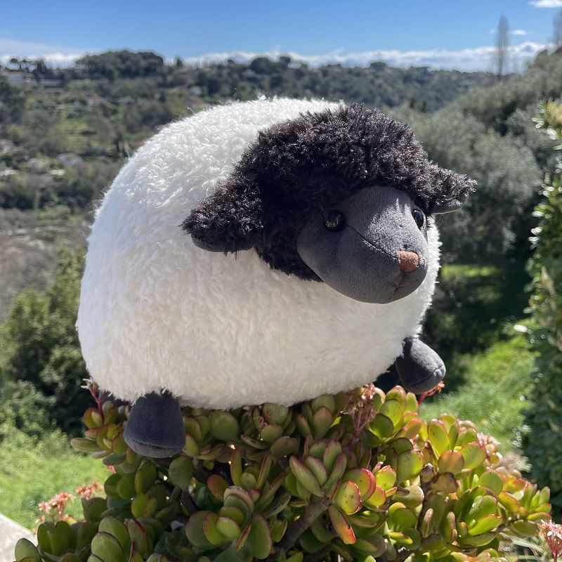 Sweet Black Sheep Stuffed Animal