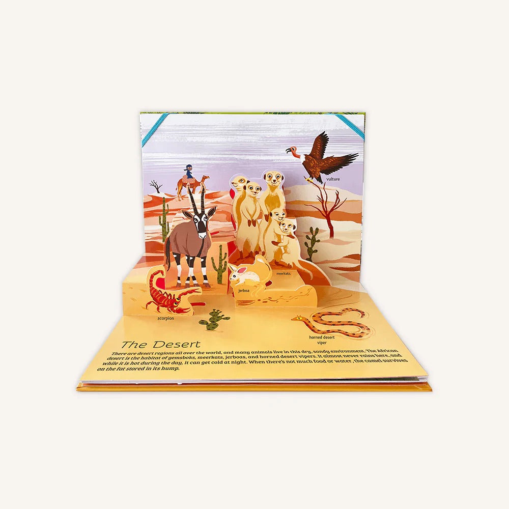 The Pop-Up Guide Animals Book
