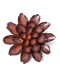 Peach Mocha Cornflower Ceramic Flower
