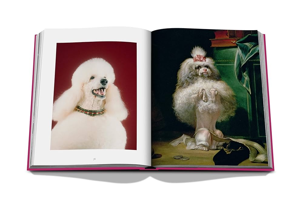 Chic Dogs Book