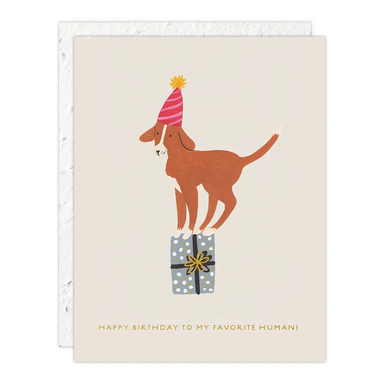 Birthday Dog- Birthday Card
