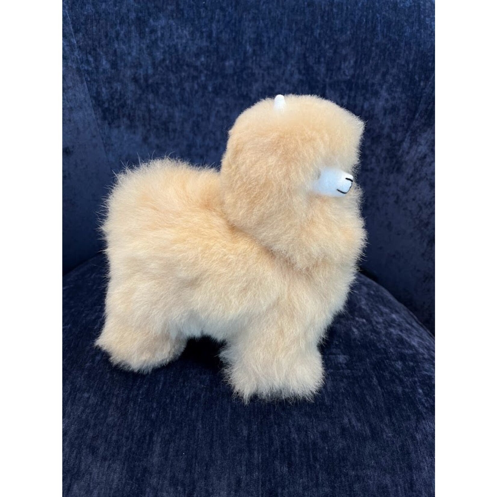 Natural Alpaca 8" Toy