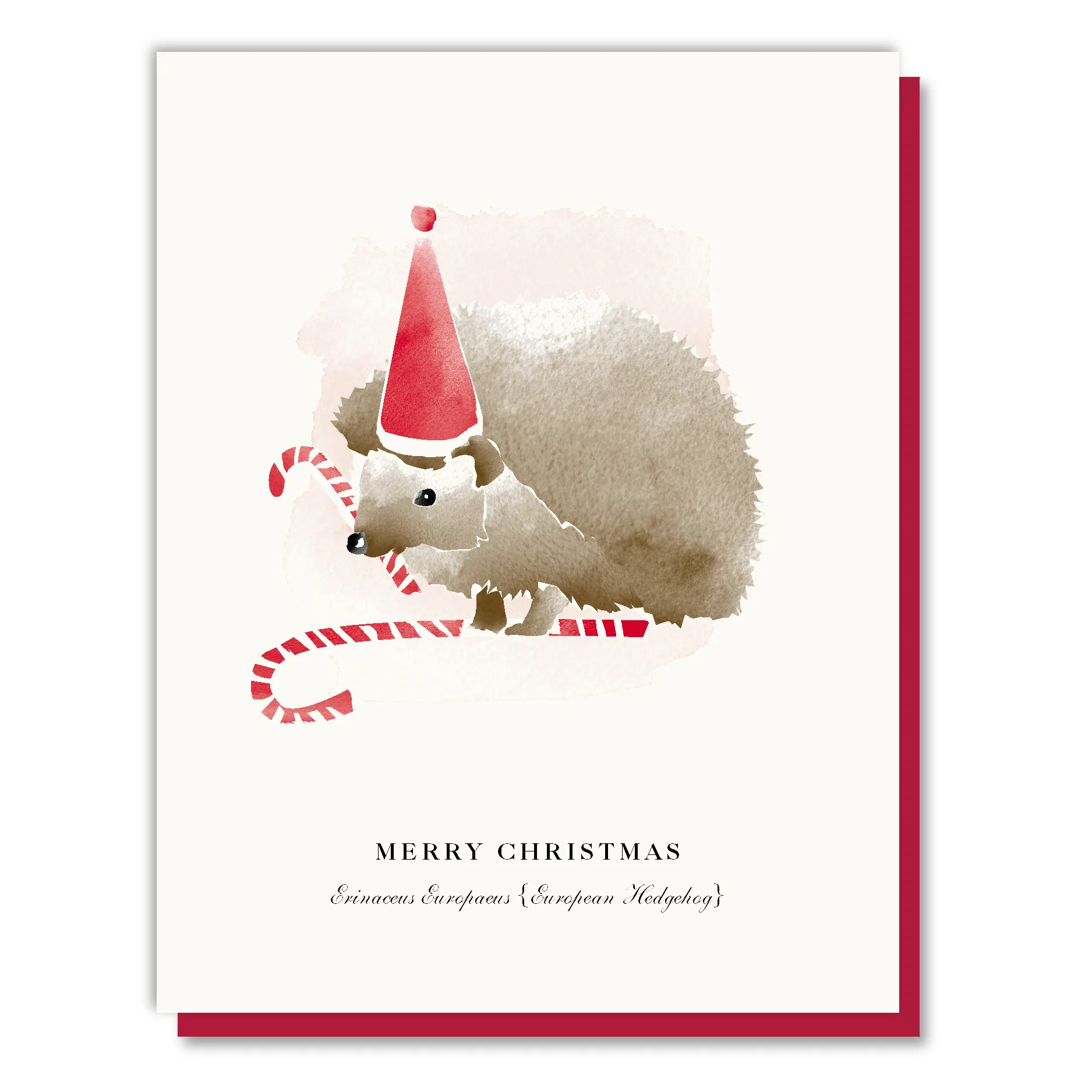 Merry Christmas Hedgehog Card