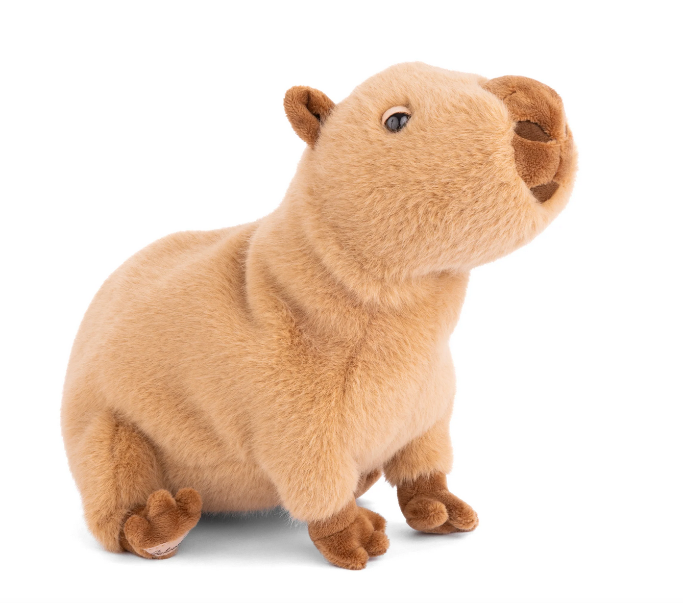 Theo Cabybara Stuffed Animal