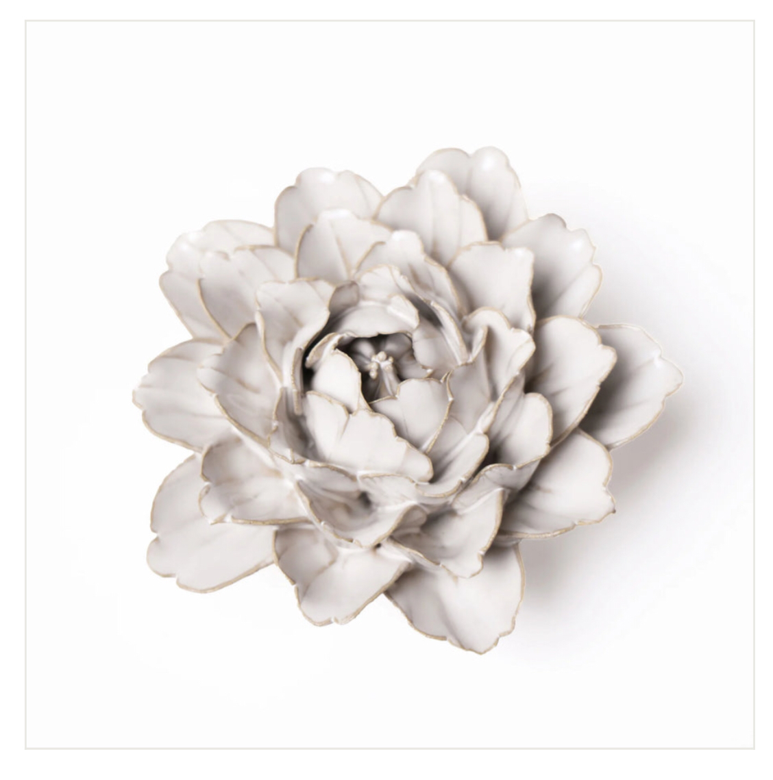 Zinnea Ivory Ceramic Flower