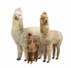 Alpaca 35.5" Collectible Ivory