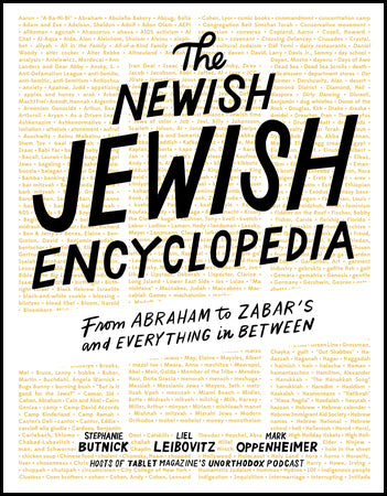 The Newish Jewish Encyclopedia Book