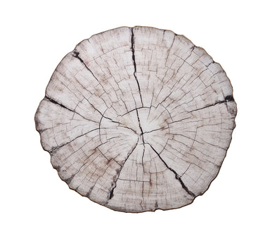 Birch Placemat - Set of 4