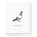 Pigeon Card