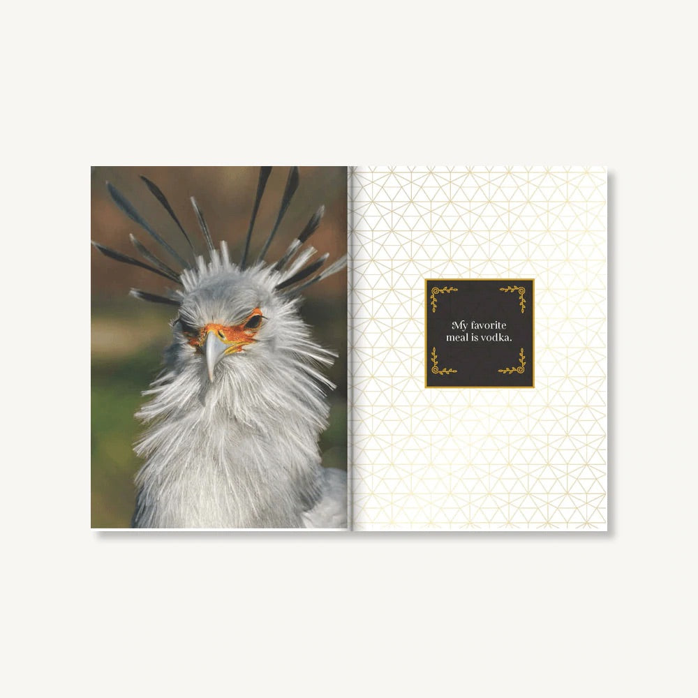 Feathered and Fabulous Book