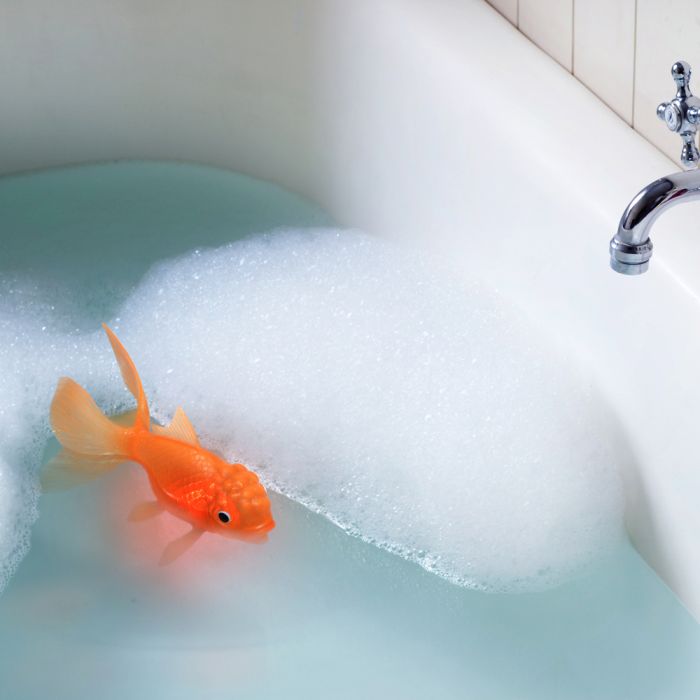 Koi Toy Light-Up Bath Goldfish