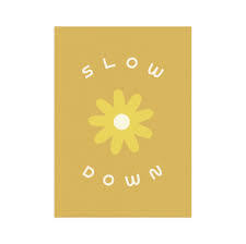 Slow Down 5 x7 Screen Print
